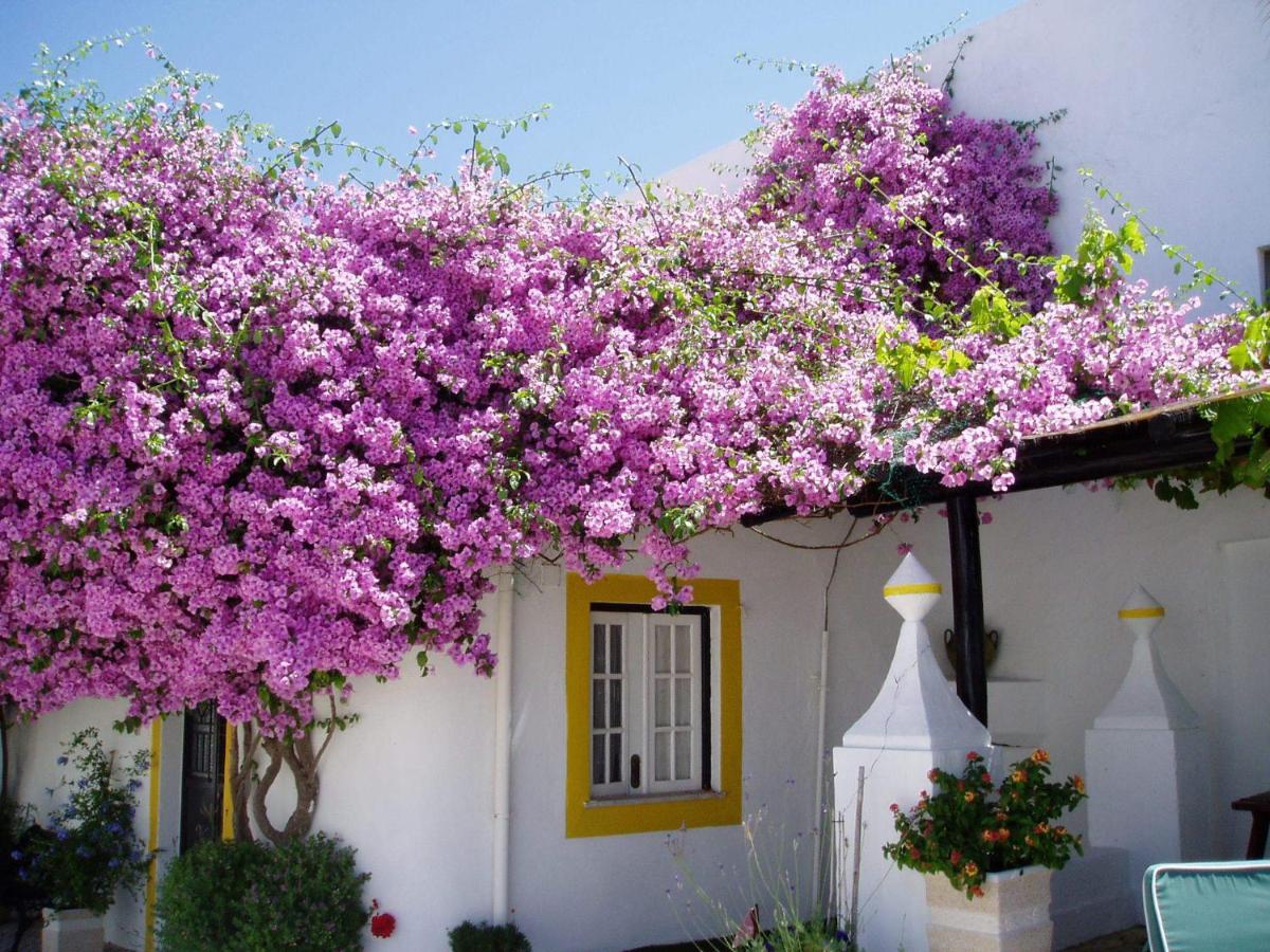Отель Rio Arade Algarve Manor House Эштомбар Экстерьер фото
